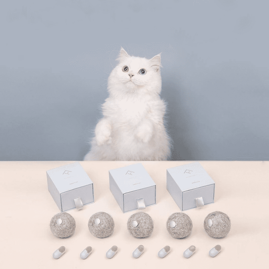  Pure Wool Interactive Catnip Capsule Toy Set for Cats cashymart