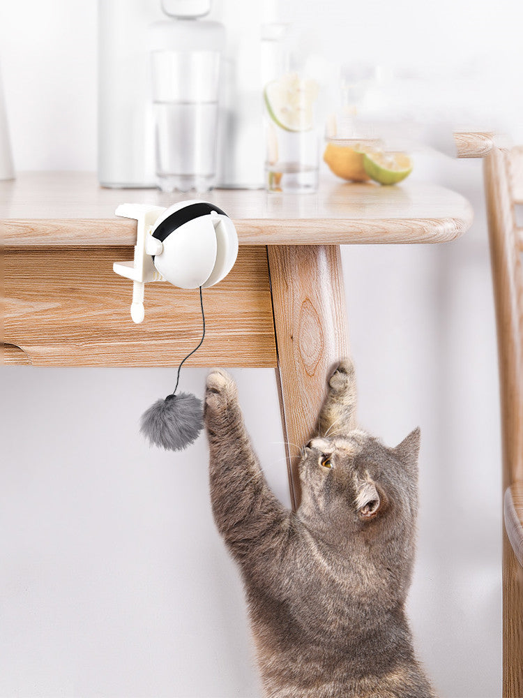  Smart Interactive Electric Cat Teaser Toy cashymart