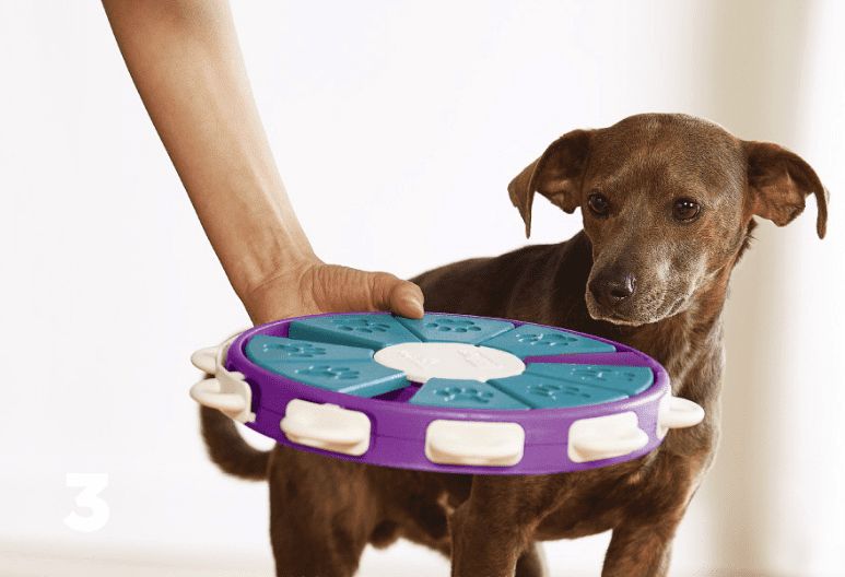  Engaging Dog Learning Toys cashymart