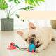 Leak-Proof Interactive Dog Chew Toy