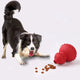 Pet Toy Natural Rubber for Teeth
