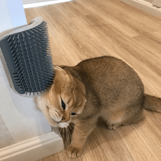  Cat Self-Grooming and Massaging Brush cashymart