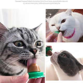 Catnip Energy Ball Lick Toy