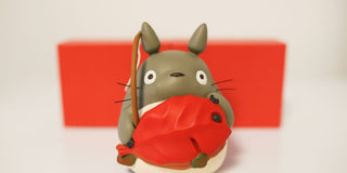 gray cat holding fish toy