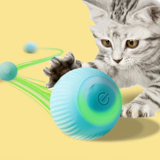 Cat Toys - cashymart