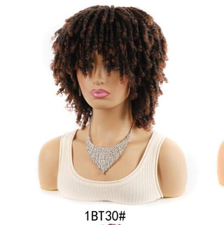  Small Curly African Wig cashymart