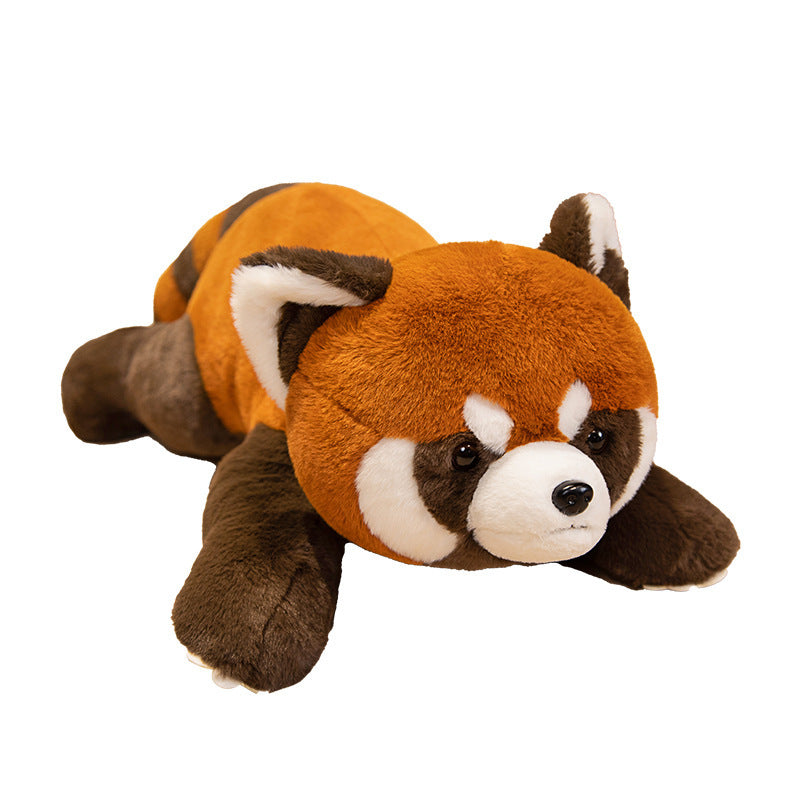  Adorable Coati Plush Toy Collection cashymart