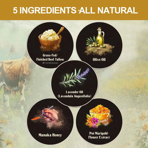  100% Grass Fed Whipped Vanilla Beef Tallow Moisturizer cashymart