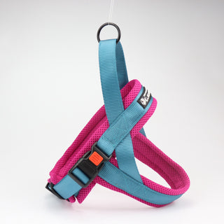  Pet Chest Harness and Leash Set cashymart