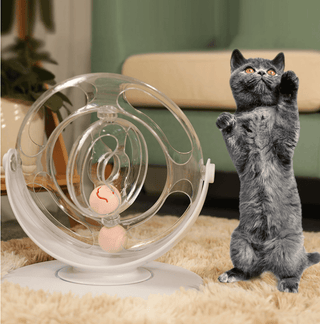  Interactive Cat Spin & Learn Toy cashymart