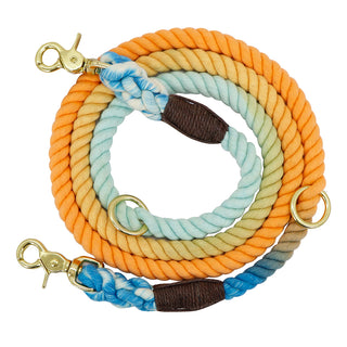  Colorful Gradient Dog Training Leash cashymart