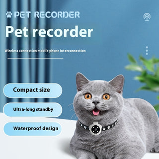  Pet Tracker Collar Dogs And Cats  Recording Camera cashymart