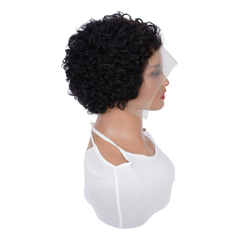  13x1 Transparent Lace Short Curly Pixie Wig cashymart