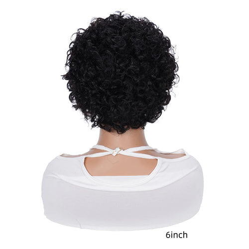  13x1 Transparent Lace Short Curly Pixie Wig cashymart