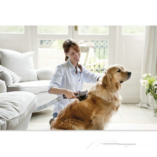  Pet Grooming Tool with Vacuum Attachment cashymart