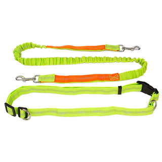  Elastic Reflective Pet Running Traction Belt cashymart