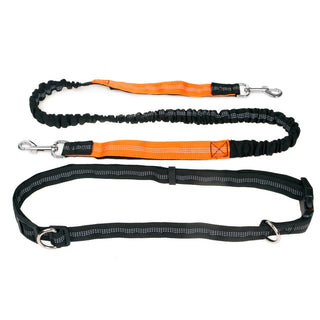  Elastic Reflective Pet Running Traction Belt cashymart