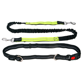  Elastic Reflective Pet Running Traction Belt cashymart