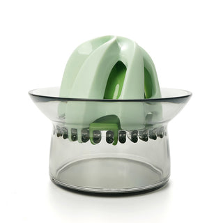  Manual Fruit Squeezer cashymart