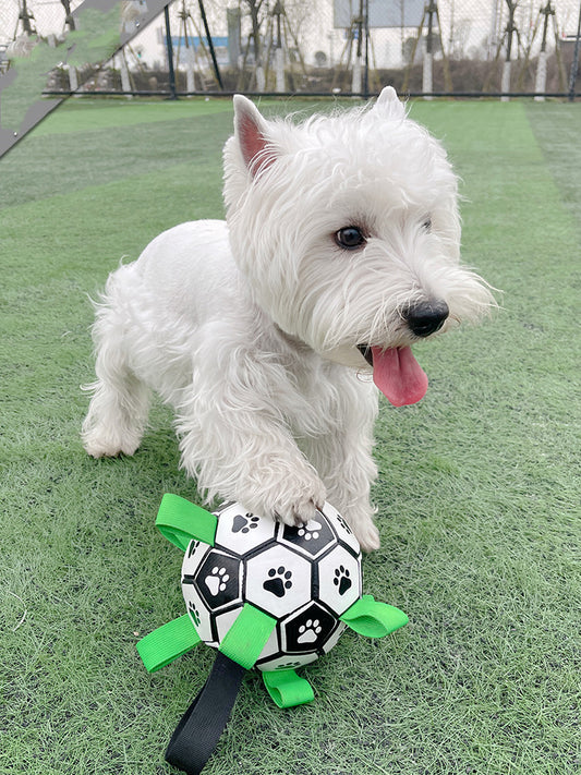  Lovely Paw Football Dog Toy cashymart