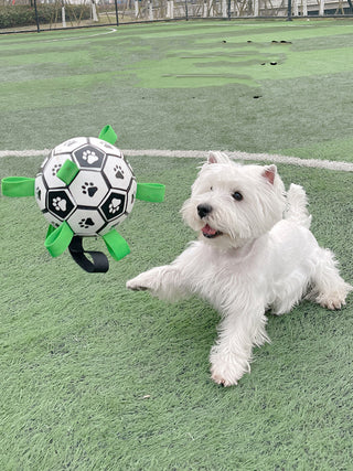  Lovely Paw Football Dog Toy cashymart