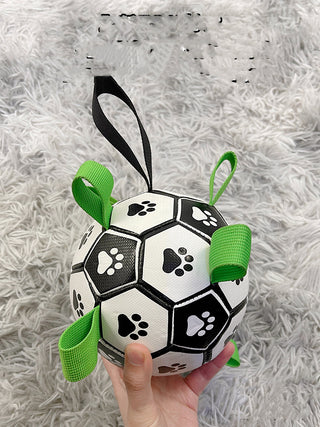  Lovely Paw Football Dog Toy cashymart