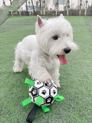  Lovely Paw Football Dog Toy cashymart