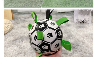  Lovely Paw Football Dog Toy cashymart