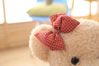  Couple Teddy Bear Plush Toys cashymart