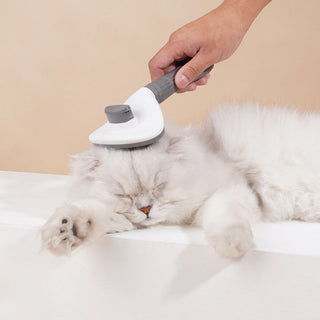  Gentle Care Pet Grooming Tool for Cats and Dogs cashymart