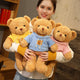 Big Teddy Bear Plush Toys