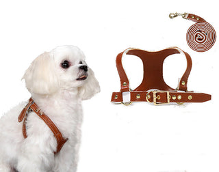  Traction Suit Chest Strap Dog Leash cashymart