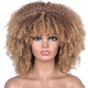 Short Curly European and American Female Wigs
