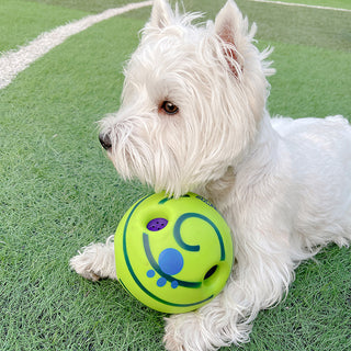  Lovely Paw Football Dog Toy cashymart