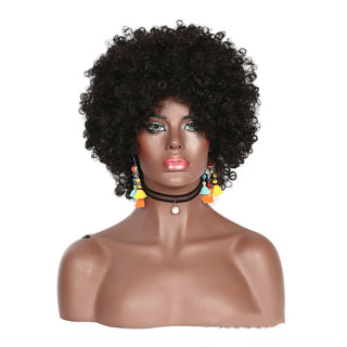  Ethnic Style High Small Curly Afro Wig cashymart