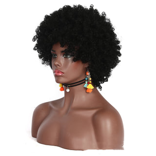  Ethnic Style High Small Curly Afro Wig cashymart