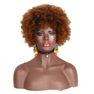  Ethnic Style High Small Curly Afro Wig cashymart