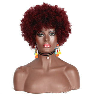  Ethnic Style High Small Curly Afro Wig cashymart