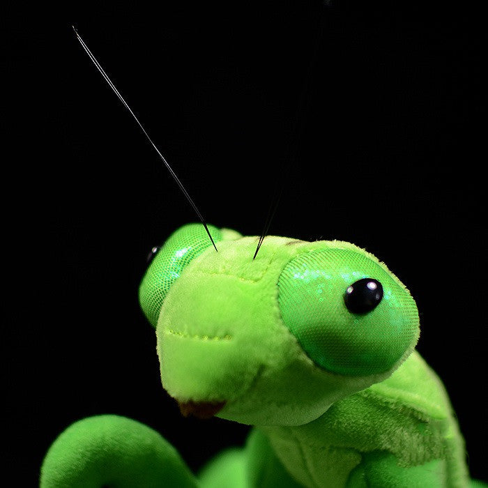  Lifelike Praying Mantis Plush Toy cashymart