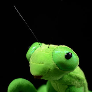  Lifelike Praying Mantis Plush Toy cashymart