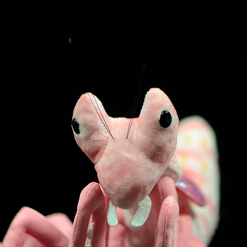  Lifelike Praying Mantis Plush Toy cashymart