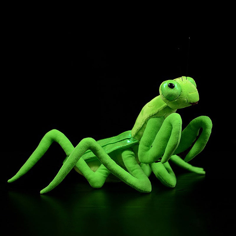  Lifelike Praying Mantis Plush Toy cashymart