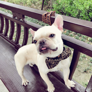  Handsome Dog Bow Tie Collar cashymart