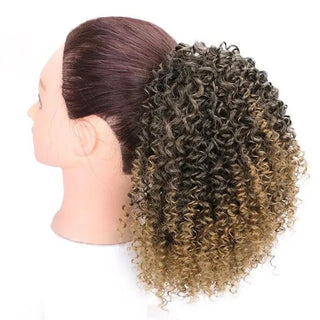  Short Curly European and American Wigs cashymart