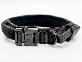  Nylon Pet Collars cashymart