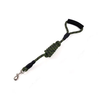  Golden Nylon Dog Traction Rope cashymart