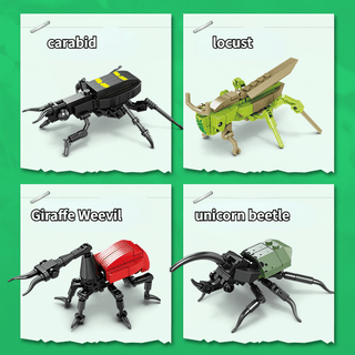  Creative Insect Construction Set cashymart