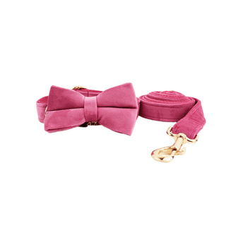  Velvet Dog Collar and Leash Set cashymart