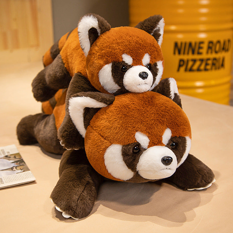  Adorable Coati Plush Toy Collection cashymart