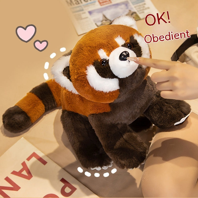  Adorable Coati Plush Toy Collection cashymart